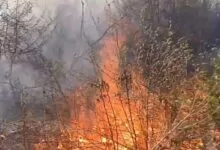 Veliki požar buknuo blizu naselja Osjek na Ilidži, vatrogasci se bore s vatrom