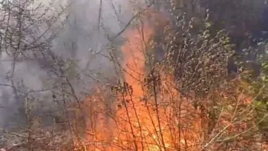 Veliki požar buknuo blizu naselja Osjek na Ilidži, vatrogasci se bore s vatrom