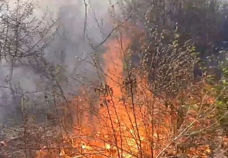 Veliki požar buknuo blizu naselja Osjek na Ilidži, vatrogasci se bore s vatrom