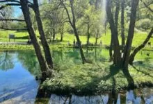 Pozitivni trendovi u zaštićenim područjima KS: Prvi kvartal 2026. u znaku ulaganja u zaštitu prirode