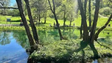 Pozitivni trendovi u zaštićenim područjima KS: Prvi kvartal 2026. u znaku ulaganja u zaštitu prirode