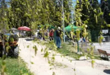 Turnir u Gajevima počeo uz učešće 10 ekipa i odličnu atmosferu