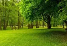 OBAVIJEST O USLOVIMA ROŠTILJANJA U ZAŠTIĆENIM PRIRODNIM PODRUČJIMA TOKOM PRVOMAJSKIH PRAZNIKA