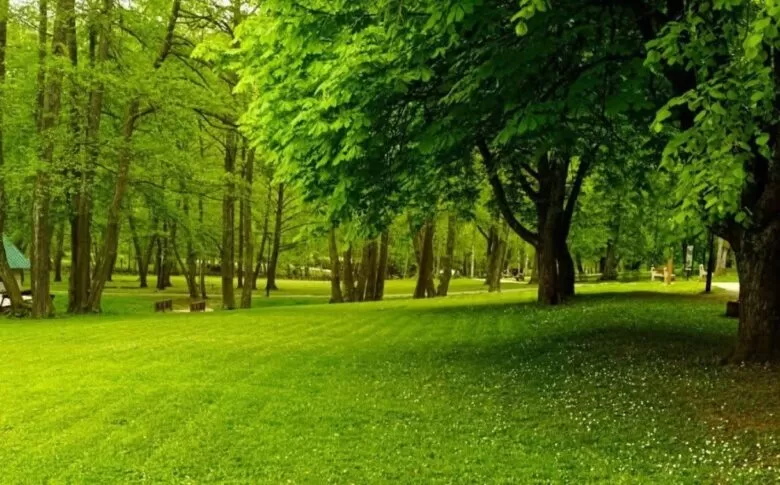 OBAVIJEST O USLOVIMA ROŠTILJANJA U ZAŠTIĆENIM PRIRODNIM PODRUČJIMA TOKOM PRVOMAJSKIH PRAZNIKA