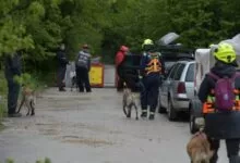 Vogošćanski vatrogasci nastavili s obukom K9 tima