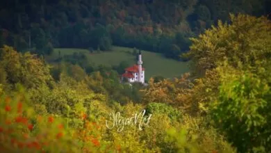 Danas se obilježava Dan džamija
