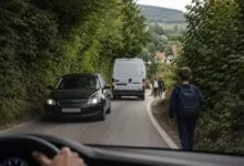 Oprez na putu Stari Ilijaš – Ahatovići preko Bioče: Zaraslo rastinje i nepregledne krivine predstavljaju opasnost