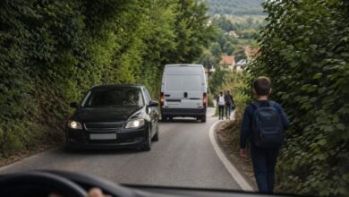 Oprez na putu Stari Ilijaš – Ahatovići preko Bioče: Zaraslo rastinje i nepregledne krivine predstavljaju opasnost