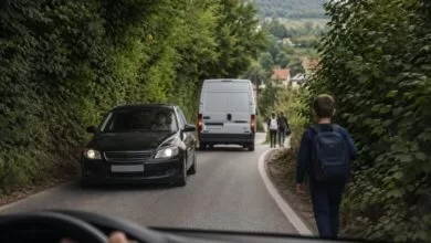 Oprez na putu Stari Ilijaš – Ahatovići preko Bioče: Zaraslo rastinje i nepregledne krivine predstavljaju opasnost