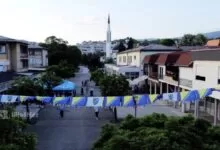 Ilijaš šalje podršku Zmajevima: Zastave BiH ponovo krase šetalište