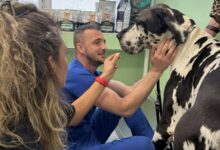 Otvoren Centar za dijagnostiku i poliklinika za male životinje KJP „Veterinarska stanica“ d.o.o. Sarajevo