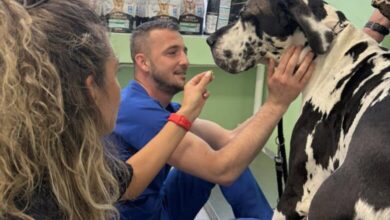 Otvoren Centar za dijagnostiku i poliklinika za male životinje KJP „Veterinarska stanica“ d.o.o. Sarajevo