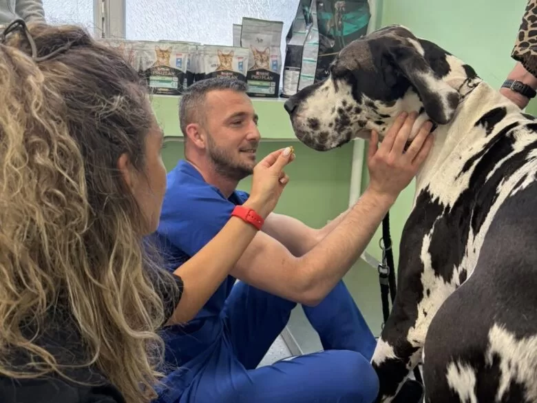 Otvoren Centar za dijagnostiku i poliklinika za male životinje KJP „Veterinarska stanica“ d.o.o. Sarajevo