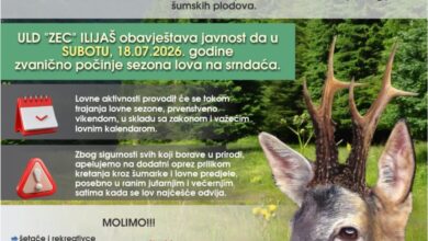 ULD „Zec“ Ilijaš 18. jula otvara sezonu lova na srndaća