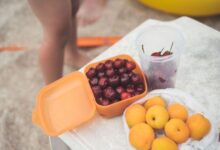 Najbolji biljni izvori vlakana: kako obogatiti svoju ishranu bez komplikacija