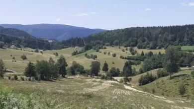 Olovske Luke preuzimaju koridu: I ove godine bez velikog narodnog veselja u Čevljanovićima