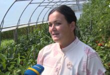 Žene Glogove svojim radom oživljavaju selo: Od poljoprivrede do domaćih proizvoda