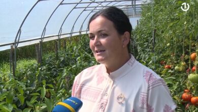 Žene Glogove svojim radom oživljavaju selo: Od poljoprivrede do domaćih proizvoda