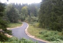 Apel roditelja iz sela Sudići kod Ilijaša: Djeca pješače kroz šumu u 5 ujutro, autobus ne prolazi kroz selo