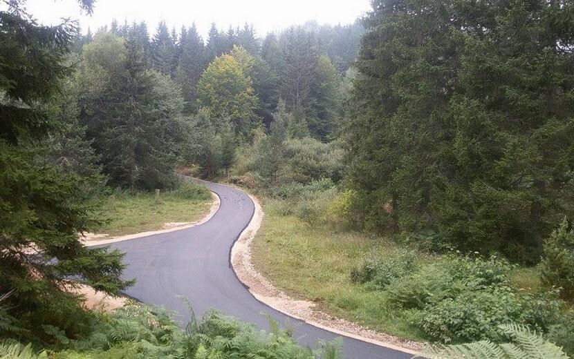 Apel roditelja iz sela Sudići kod Ilijaša: Djeca pješače kroz šumu u 5 ujutro, autobus ne prolazi kroz selo
