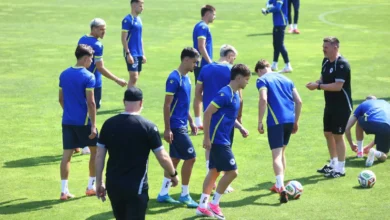 NS BiH objavio informacije o kupovini ulaznica za utakmice Zmajeva