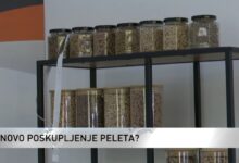 Cijena peleta i do 900 KM, proizvođači upozoravaju na nestašicu
