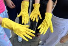 Učenici Srednjoškolskog centra „Nedžad Ibrišimović“ Ilijaš čistili školsko dvorište i okolinu