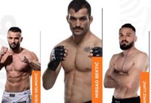 Veliki MMA seminar u Srebrenici: Stižu Mirsad Bektić, Mesud Selimović i Ramiz Lupić