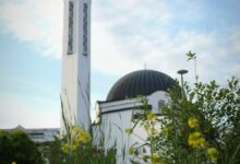 Izbor reisu-l-uleme 10. oktobra: Kandidati su Salem Dedović, Mensur Malkić i Nedžad Grabus